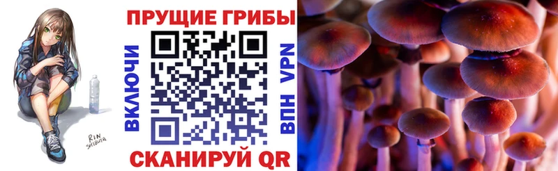 Галлюциногенные грибы Magic Shrooms  Южно-Сухокумск 